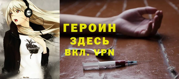 индика Богородск