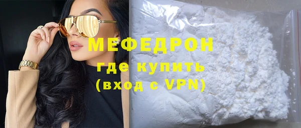 индика Богородск