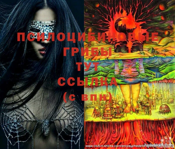марки nbome Богородицк