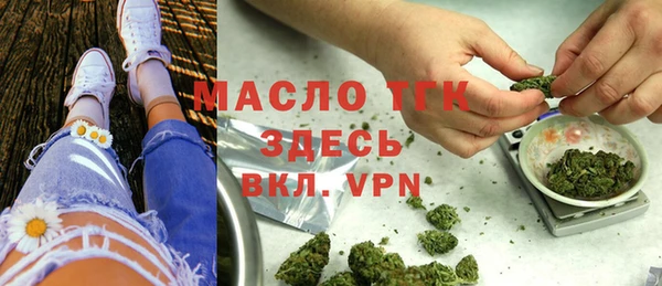 индика Богородск