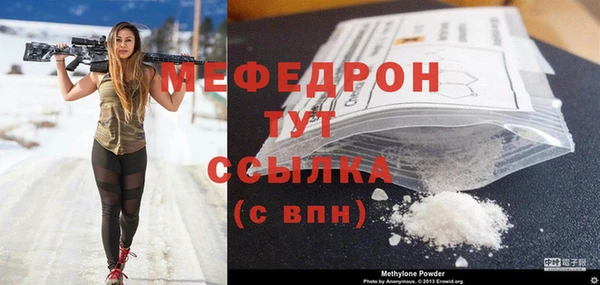 индика Богородск
