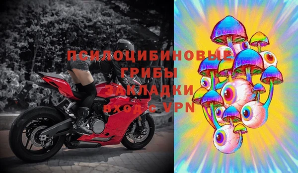 индика Богородск