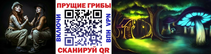 где найти   Юрюзань  гидра ссылка  Псилоцибиновые грибы MAGIC MUSHROOMS 